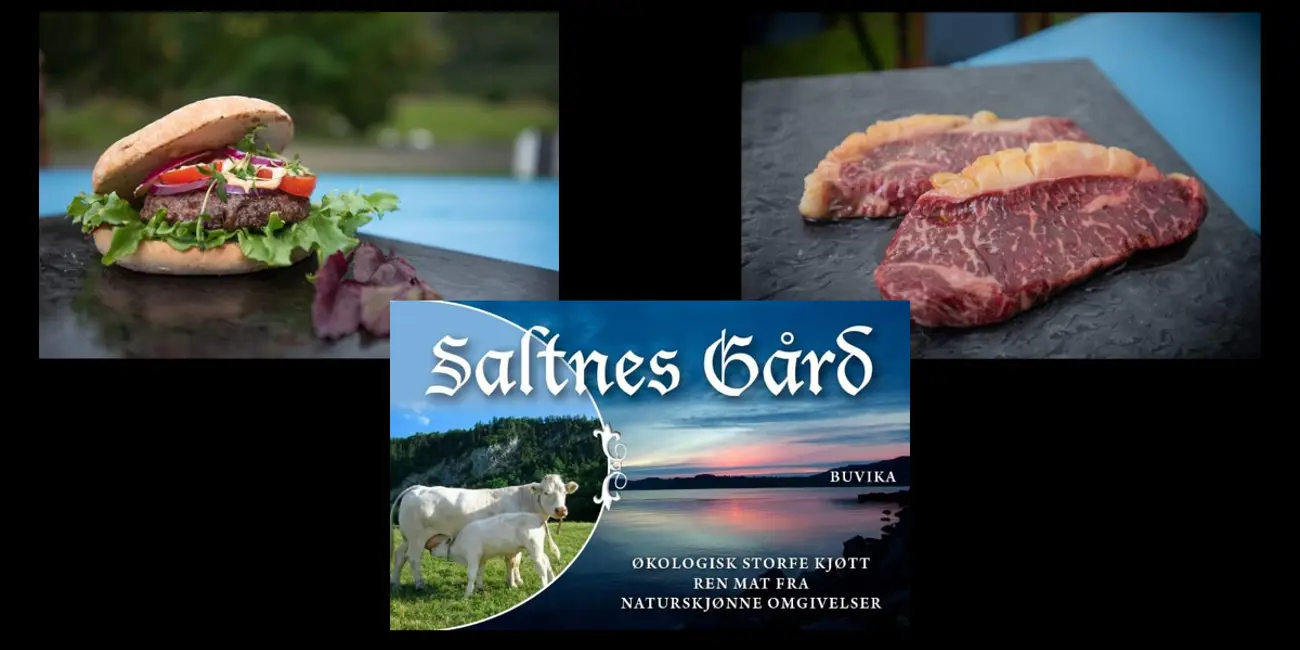 Saltnes.jpg