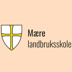 Mære